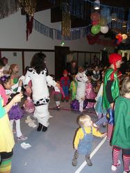 bild11.jpg
